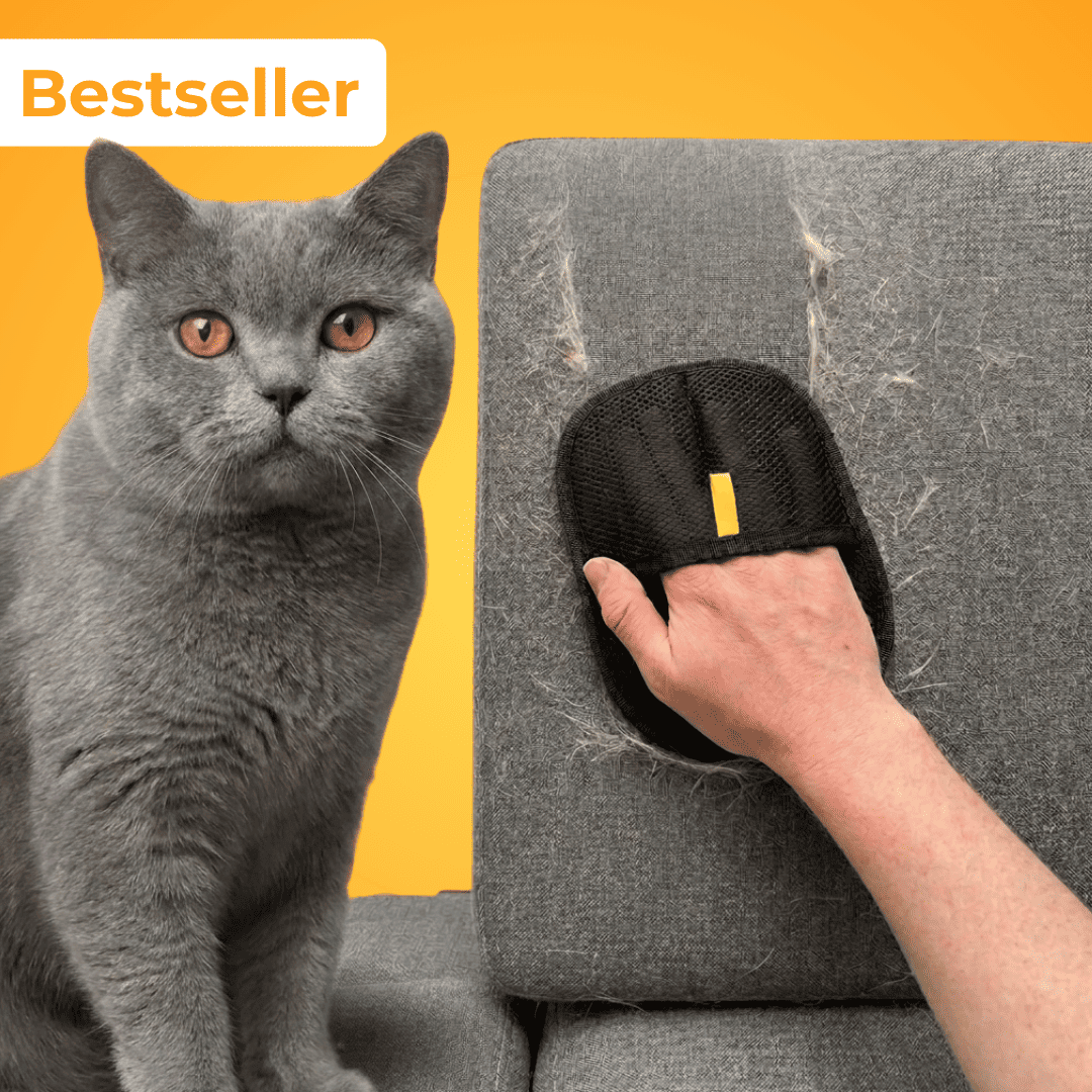 Tierhaarentferner für Katzen | Fellmagnet | Für alle Oberflächen