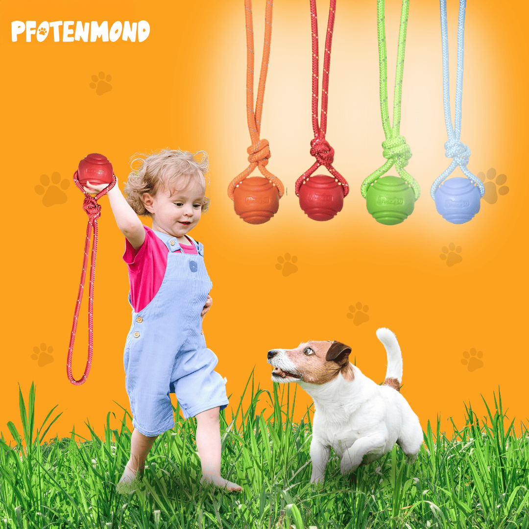 Hundeball mit Seil für Apportier- und Zerrspiele