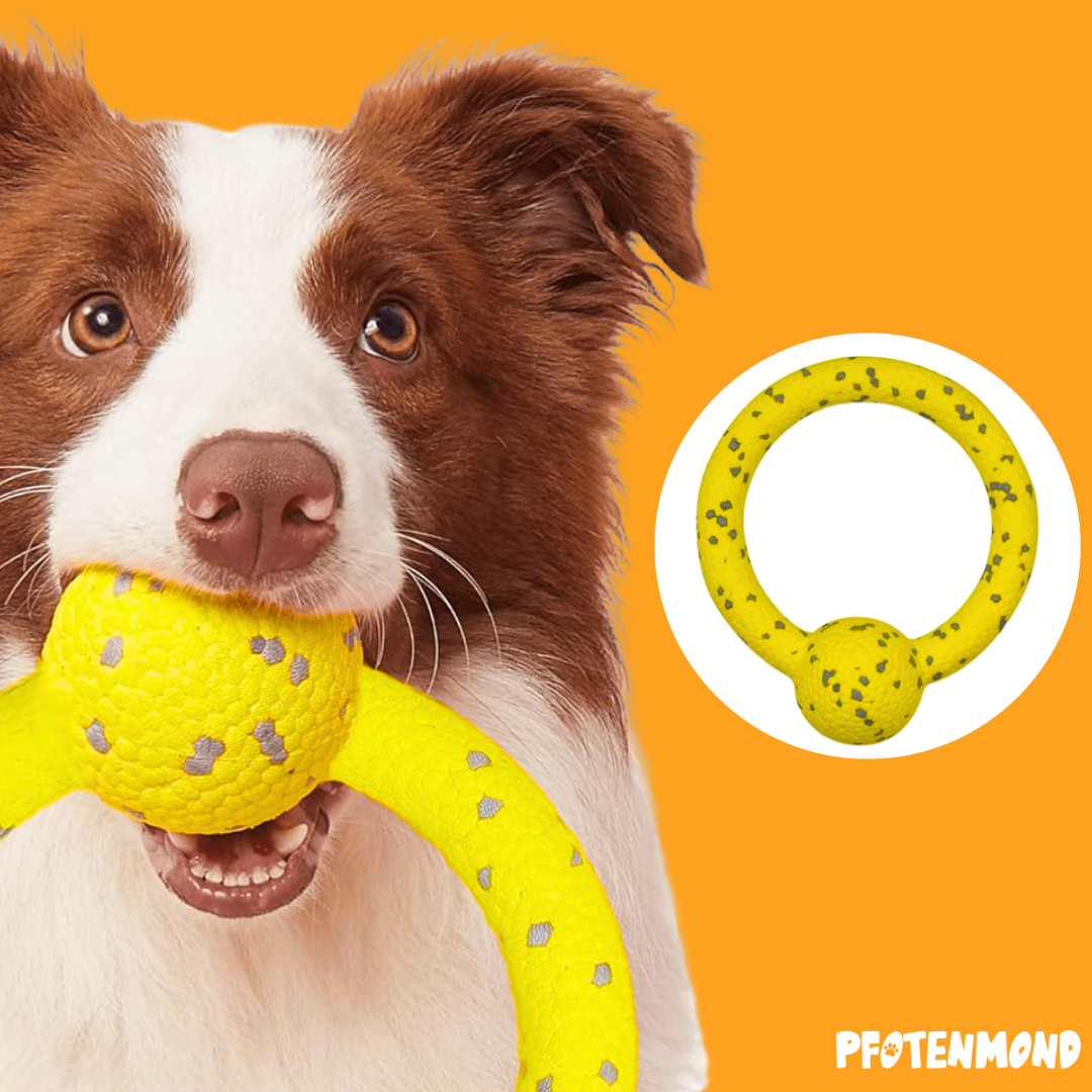 Lumabone Ring Stuffer – Unzerstörbares Kauspielzeug Mit Speckgeschmack Für Mittelgroße Hunde