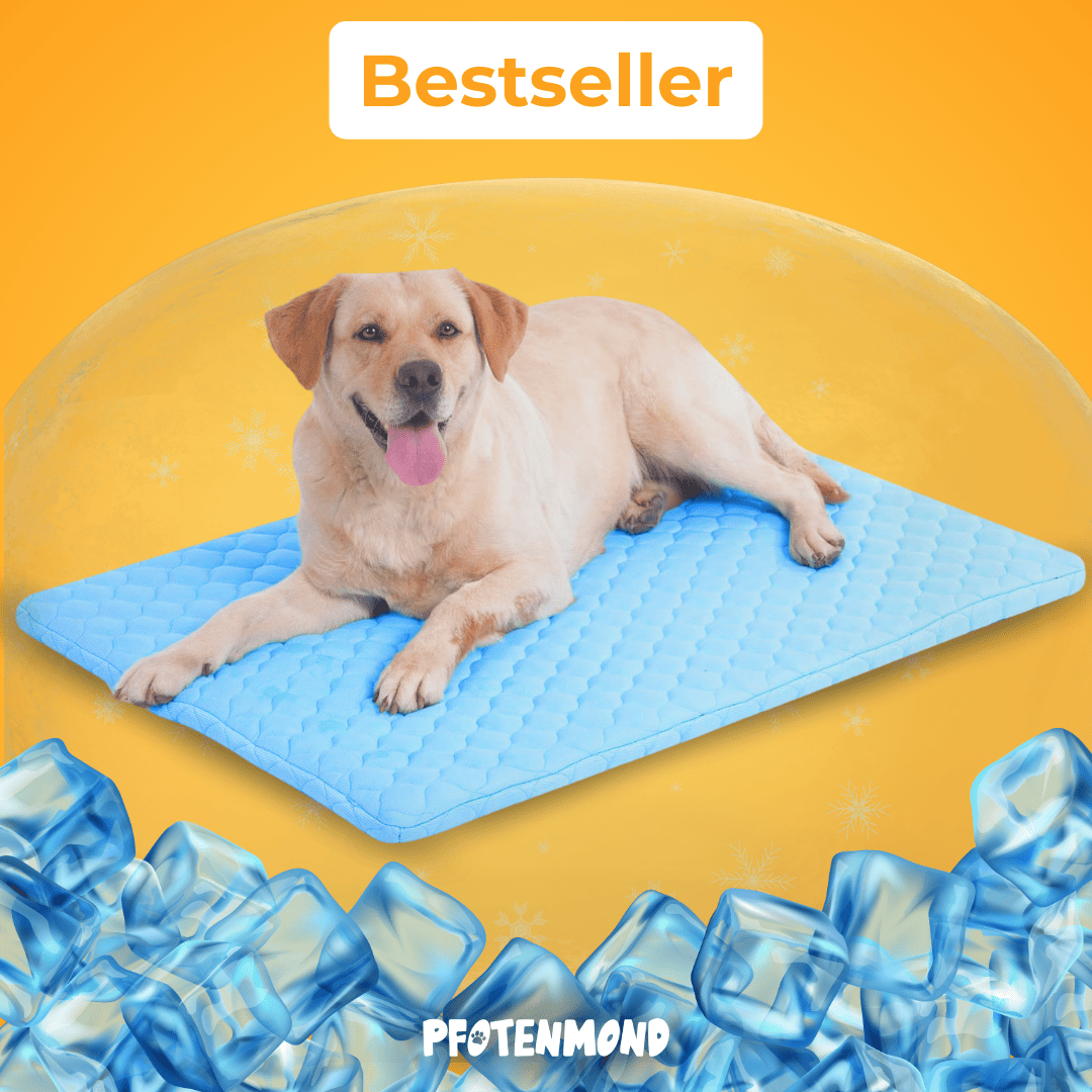 Kühlmatte Für Hunde & Katzen – Selbstkühlend, Waschbar, 70x55 Cm Für Sommer, Bett & Auto