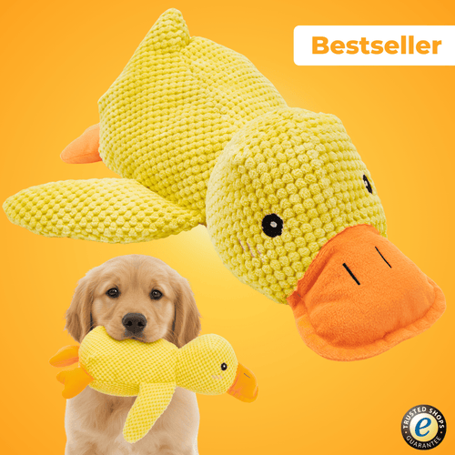 Anti-Stress-Ente - Der Bestseller