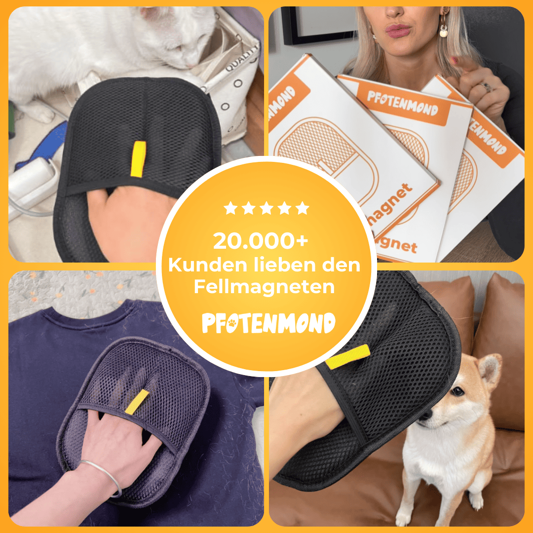 Fellmagnet - Der Bestseller