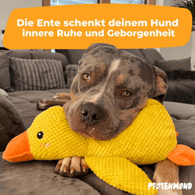 Anti-Stress-Ente - Der Bestseller