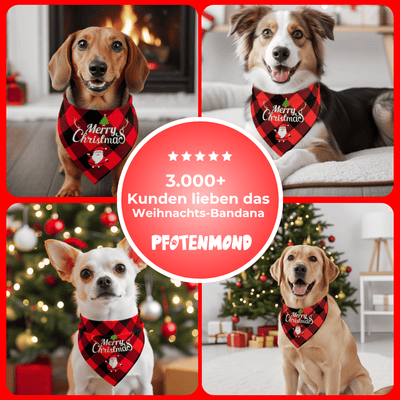 Weihnachts-Bandana