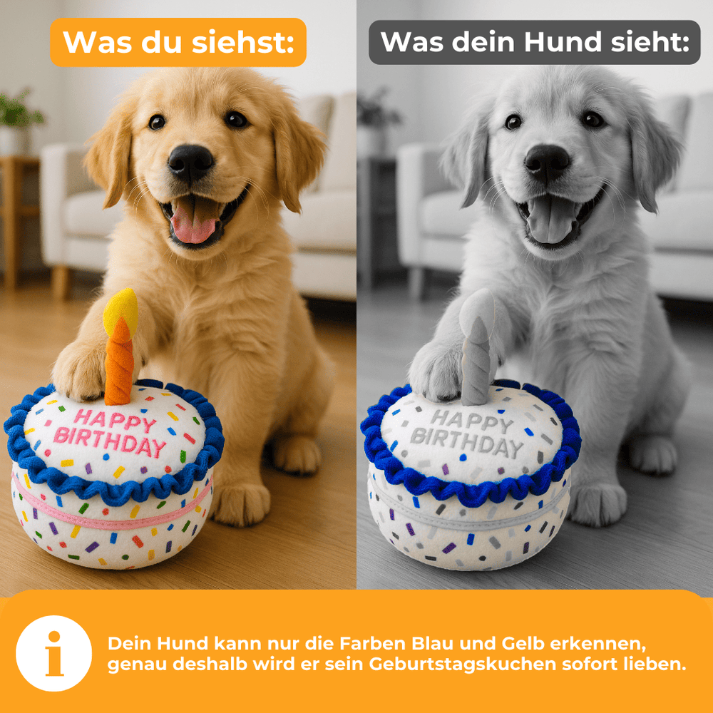 Tarta de cumpleaños para perros – El mejor regalo