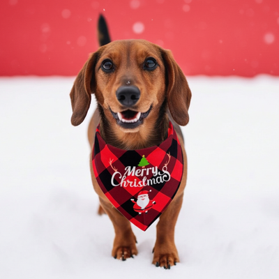 Weihnachts-Bandana