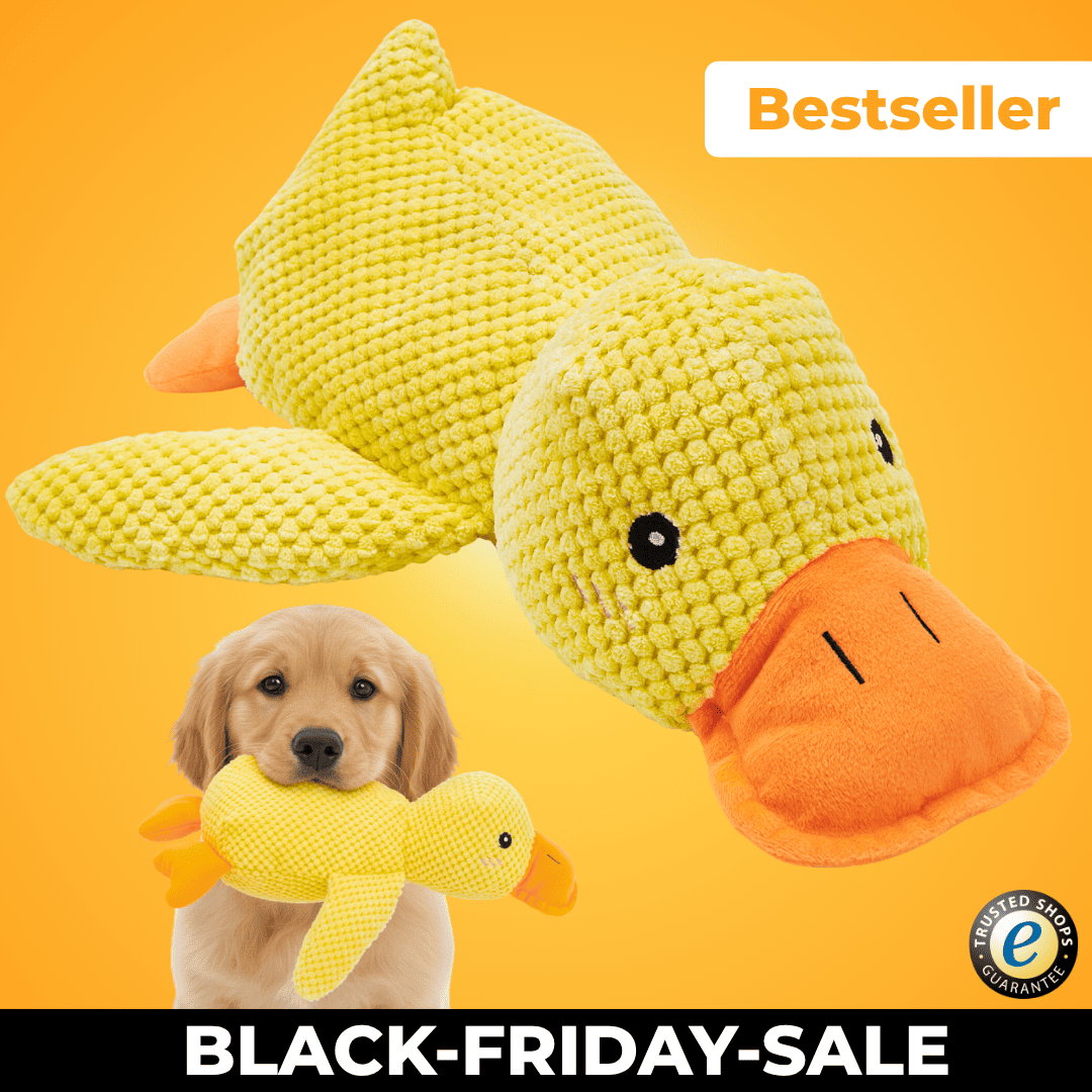 Anti-Stress-Ente - Der Bestseller