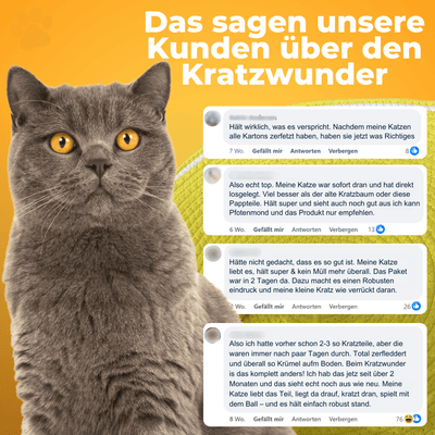 Kratzwunder - Der Bestseller