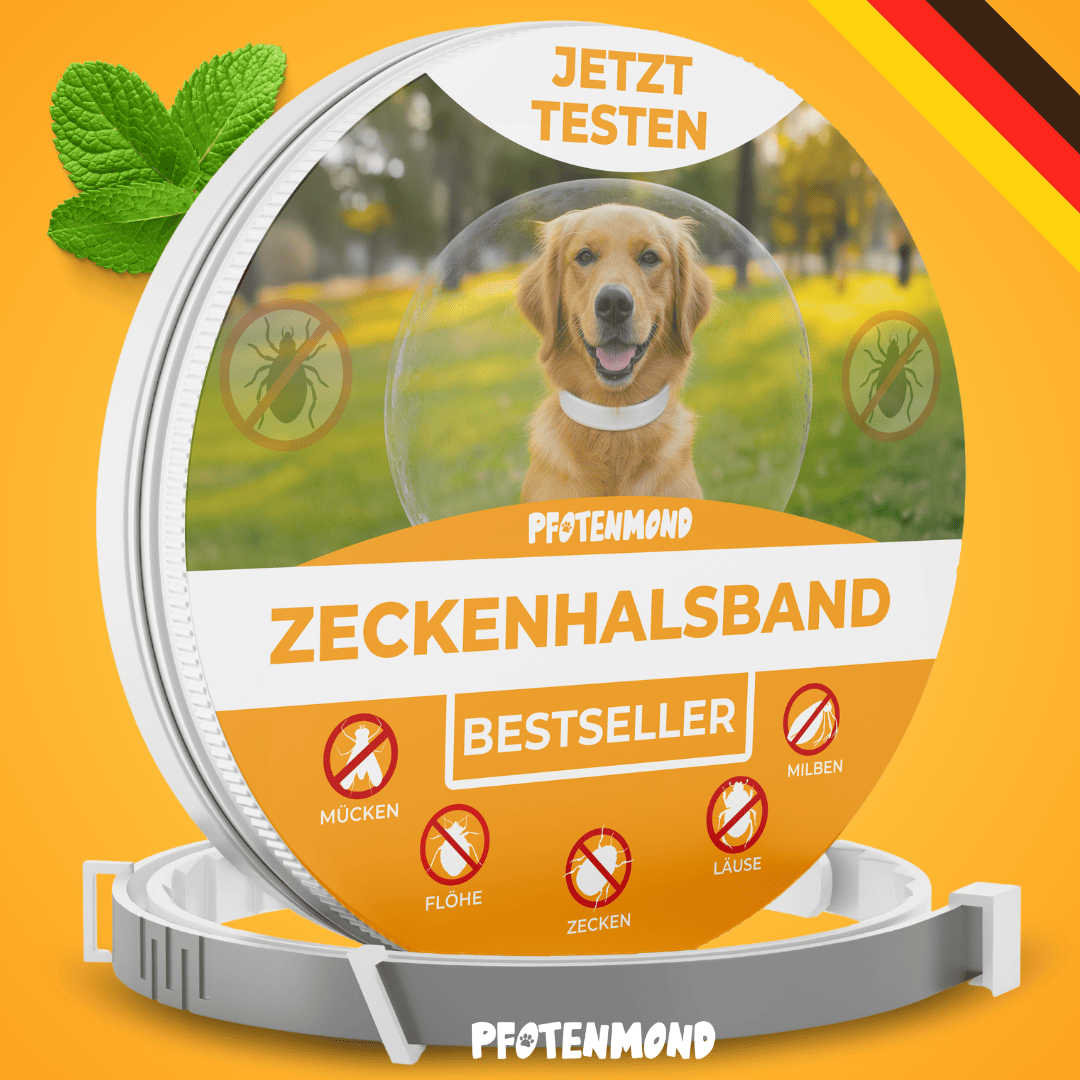 Zeckenhalsband | 2025 Edition