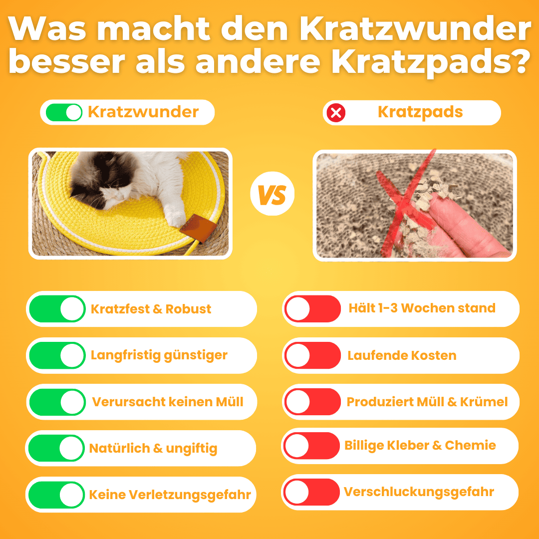 Kratzwunder - Der Bestseller