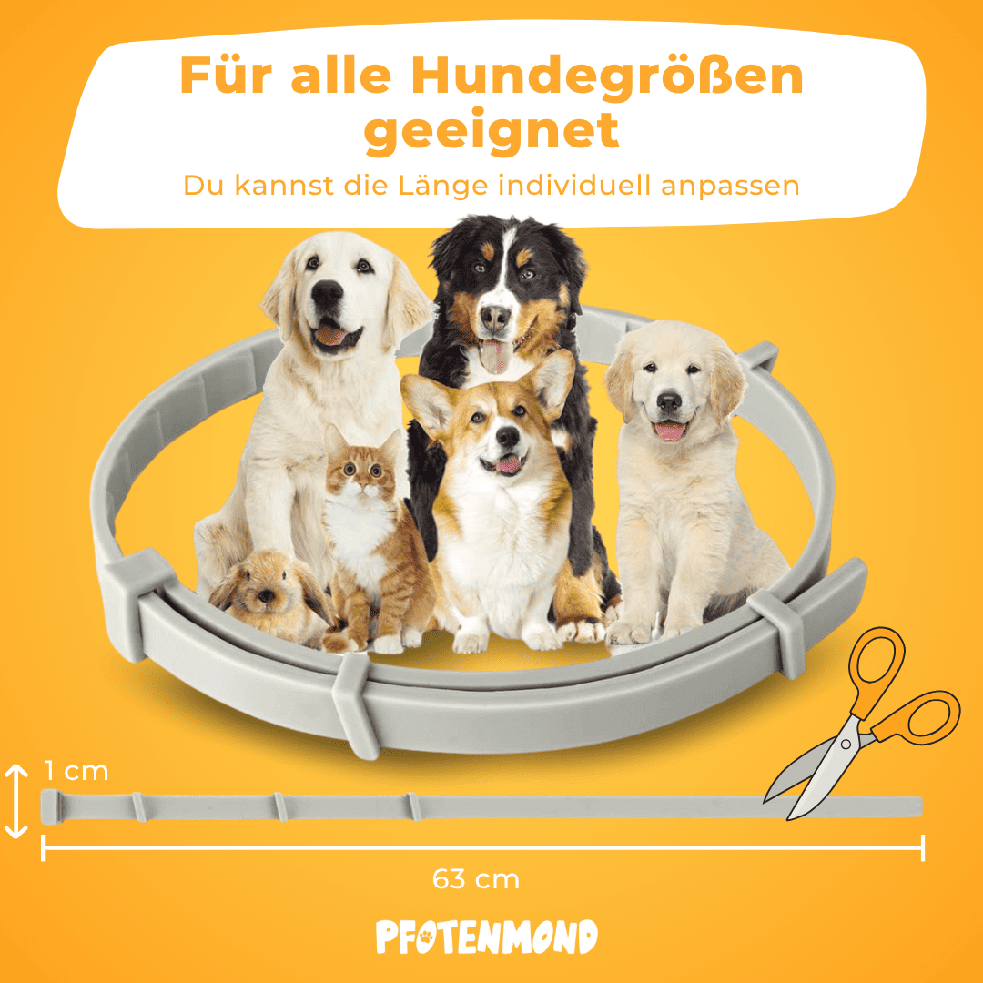 Zeckenhalsband | 2025 Edition