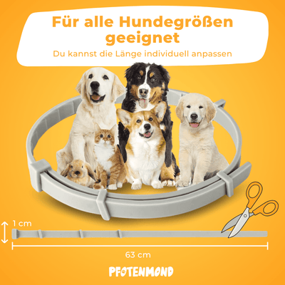 Zeckenhalsband | 2025 Edition