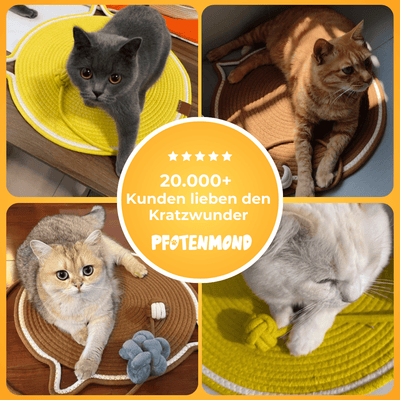 Kratzwunder - Der Bestseller