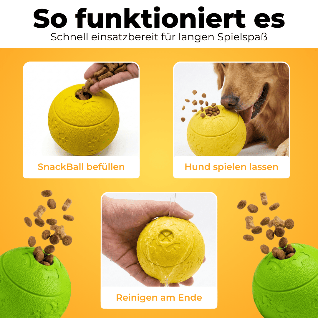 Snackball für Hunde – Befüllbar & Springend