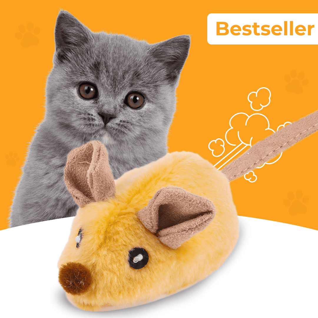 Magie-Maus - Der Bestseller