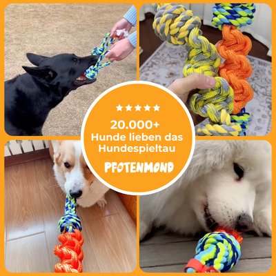 Unzerstörbares Hundespieltau