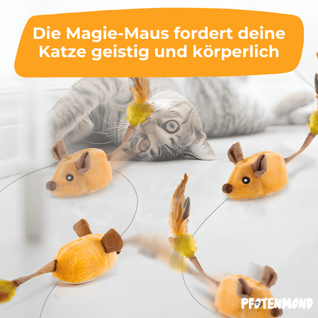 Magie-Maus - Der Bestseller