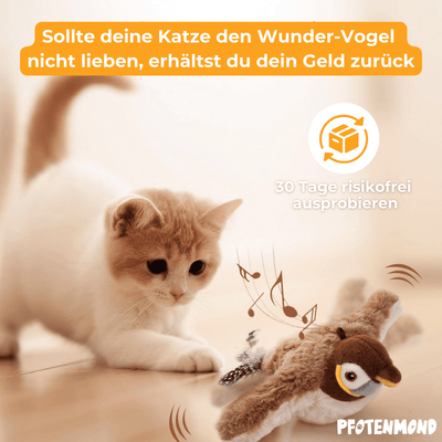 Wunder-Vogel