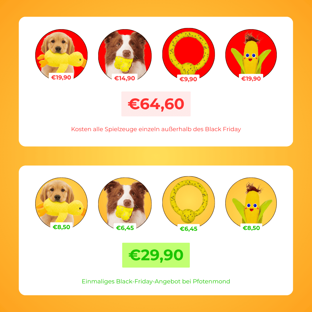 XXL-Black-Friday-Bundle