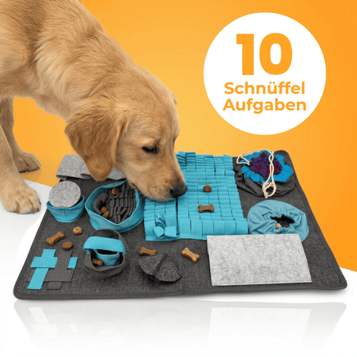 Schnüffelmatte