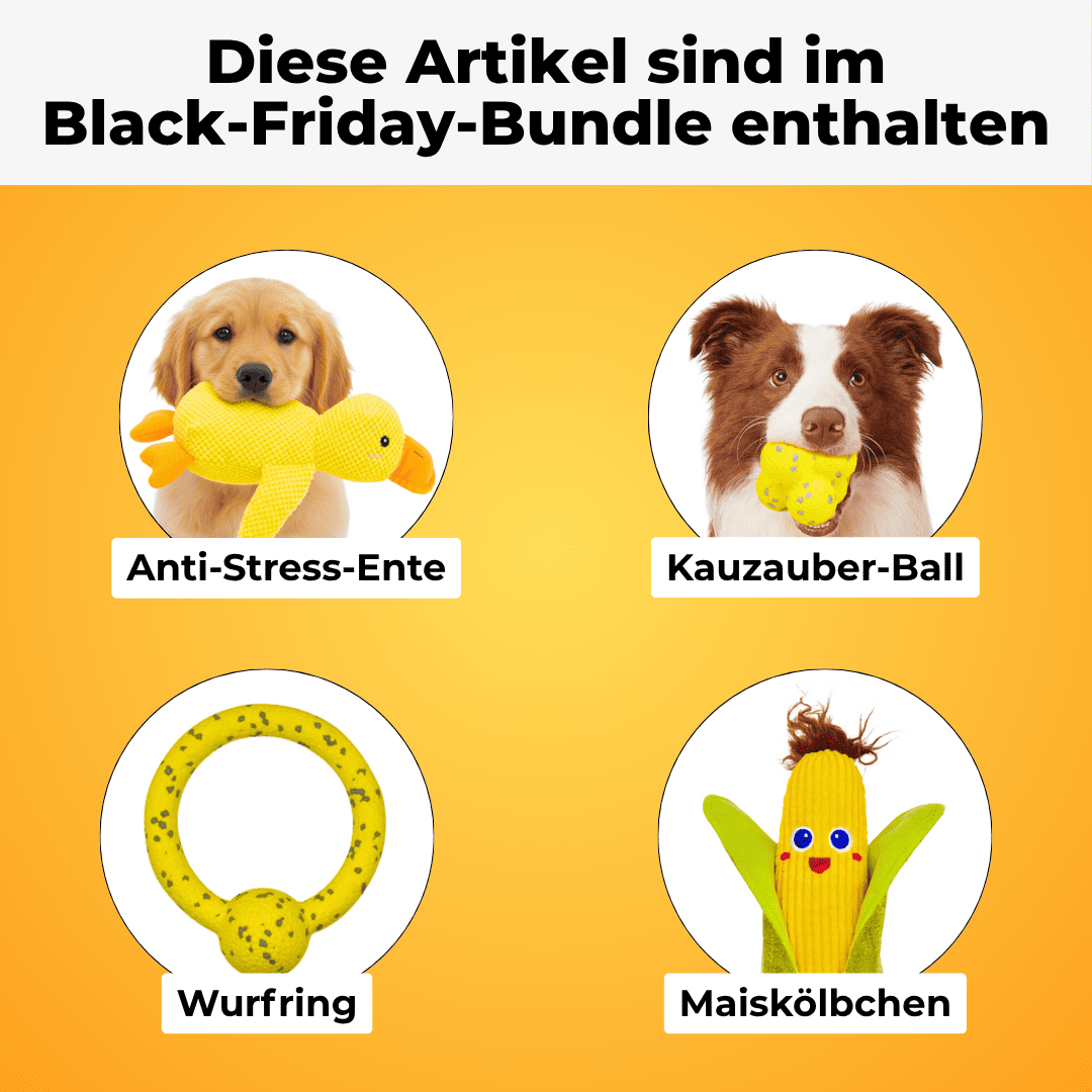 XXL-Black-Friday-Bundle