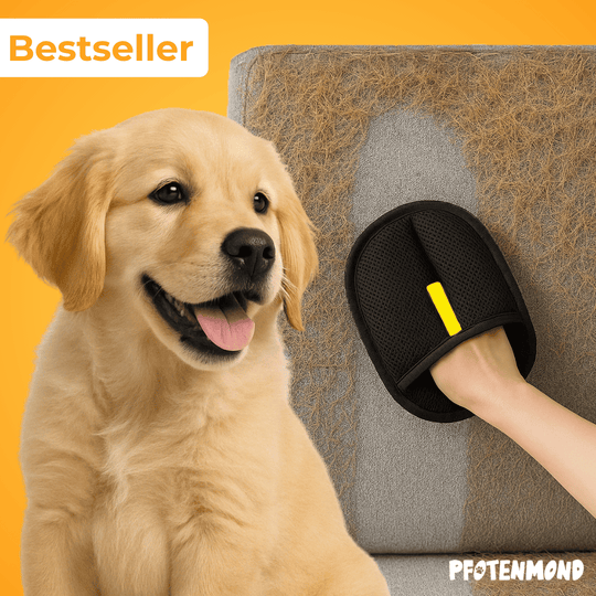 handschuh für hundehaare Tierhaarentferner für Hunde | Fellmagnet | Für alle Oberflächen
