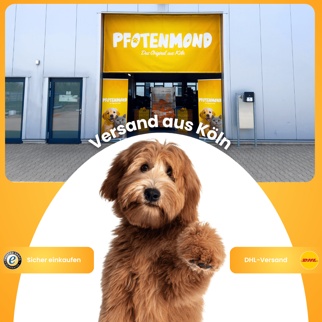 XXL-Black-Friday-Bundle