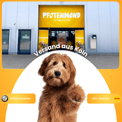 XXL-Black-Friday-Bundle