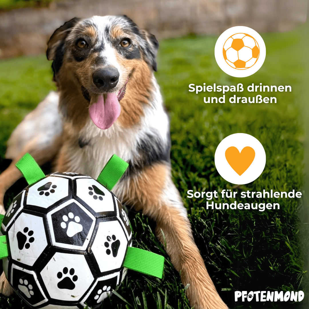Hundespielzeug Fußball mit Schlaufen