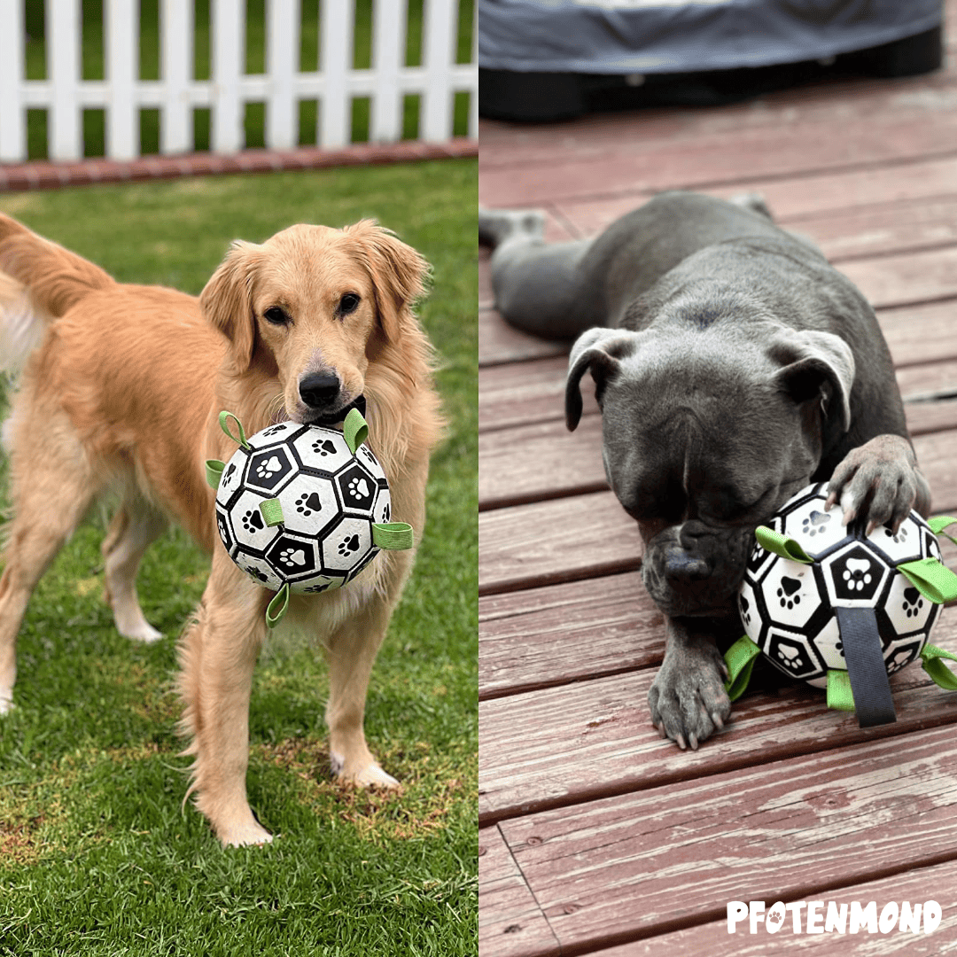 Hundespielzeug Fuball mit Schlaufen | Interaktives Hundespielzeug   Pfotenmond