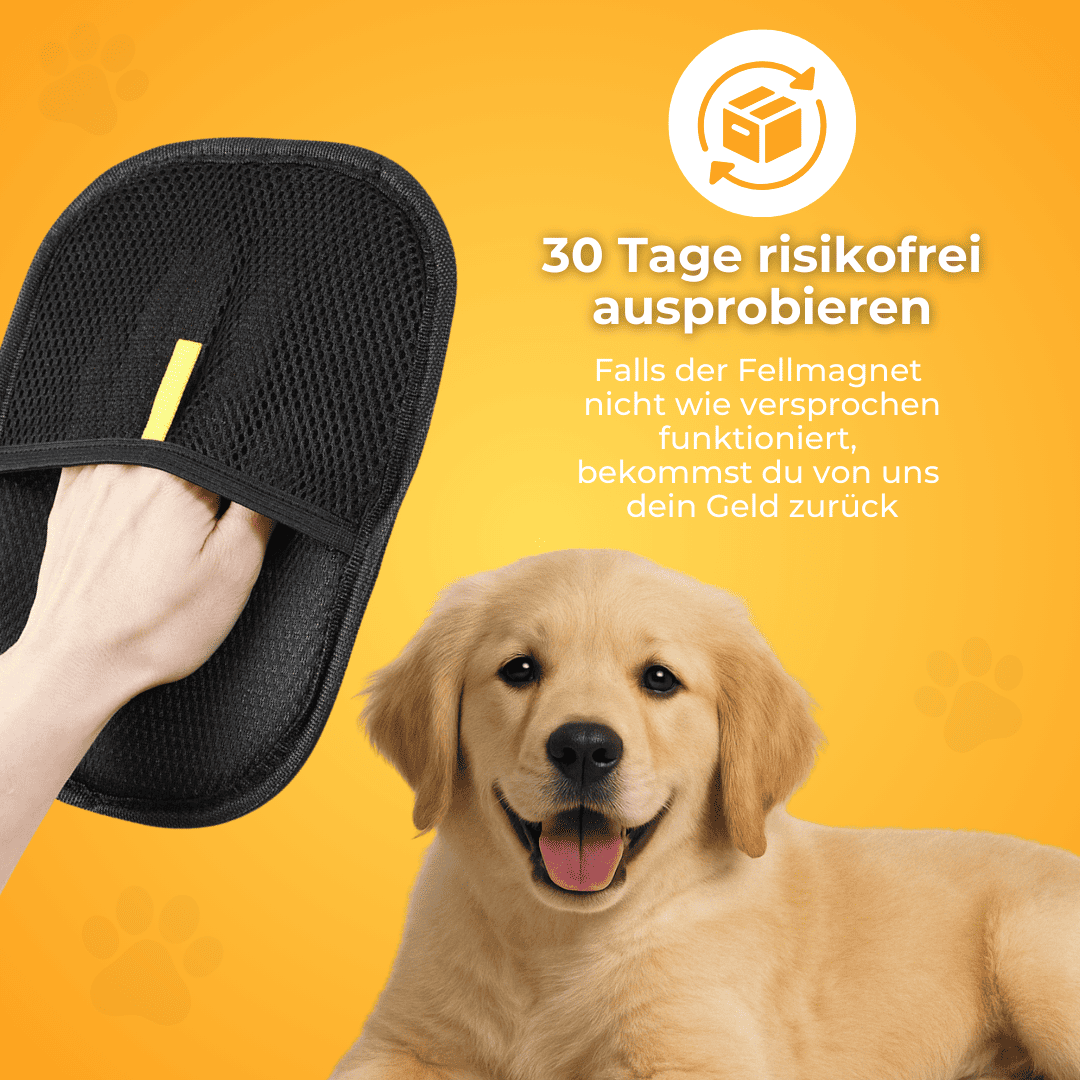 katzen hängematte bauen Premium für – Gemütliches Abhängen auf katzenart Denkst du auch, dass collection:adult masks snorkels NO FEAR 001 - ELEKTRON PATRIOT PANTS (Size):38 Pants