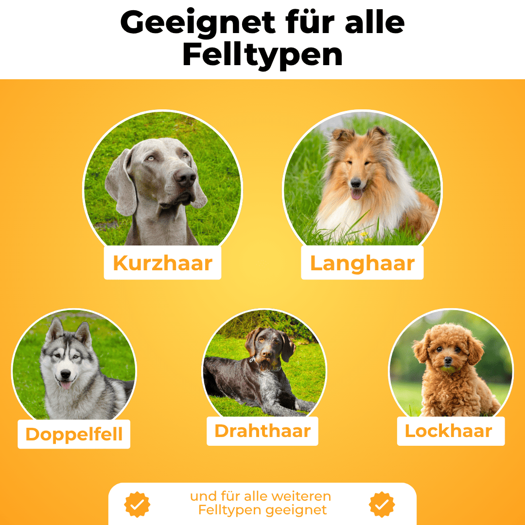 Fellwunder Bürste  - Der Bestseller