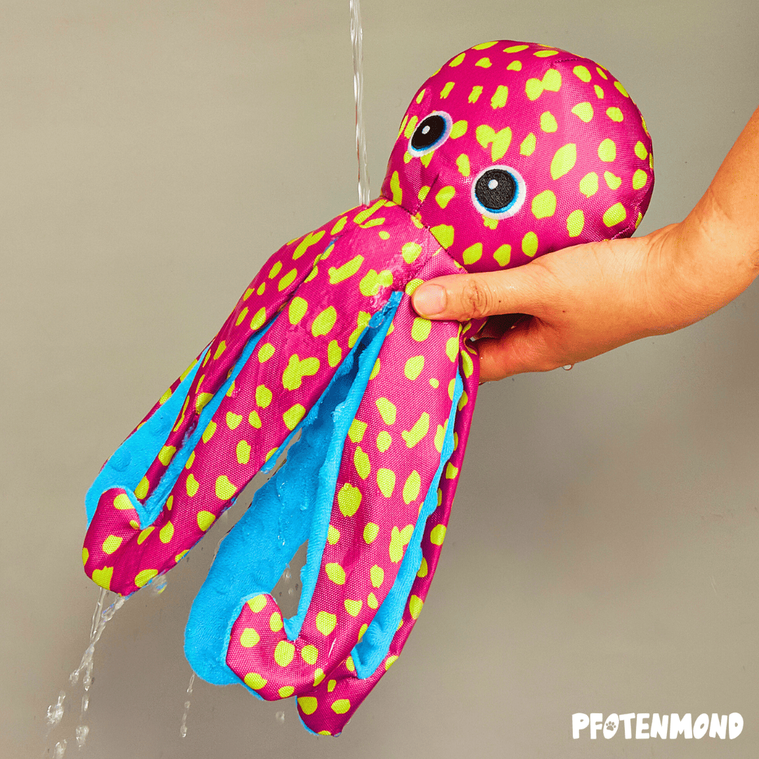 Knisteroktopus – Pfotenmond
