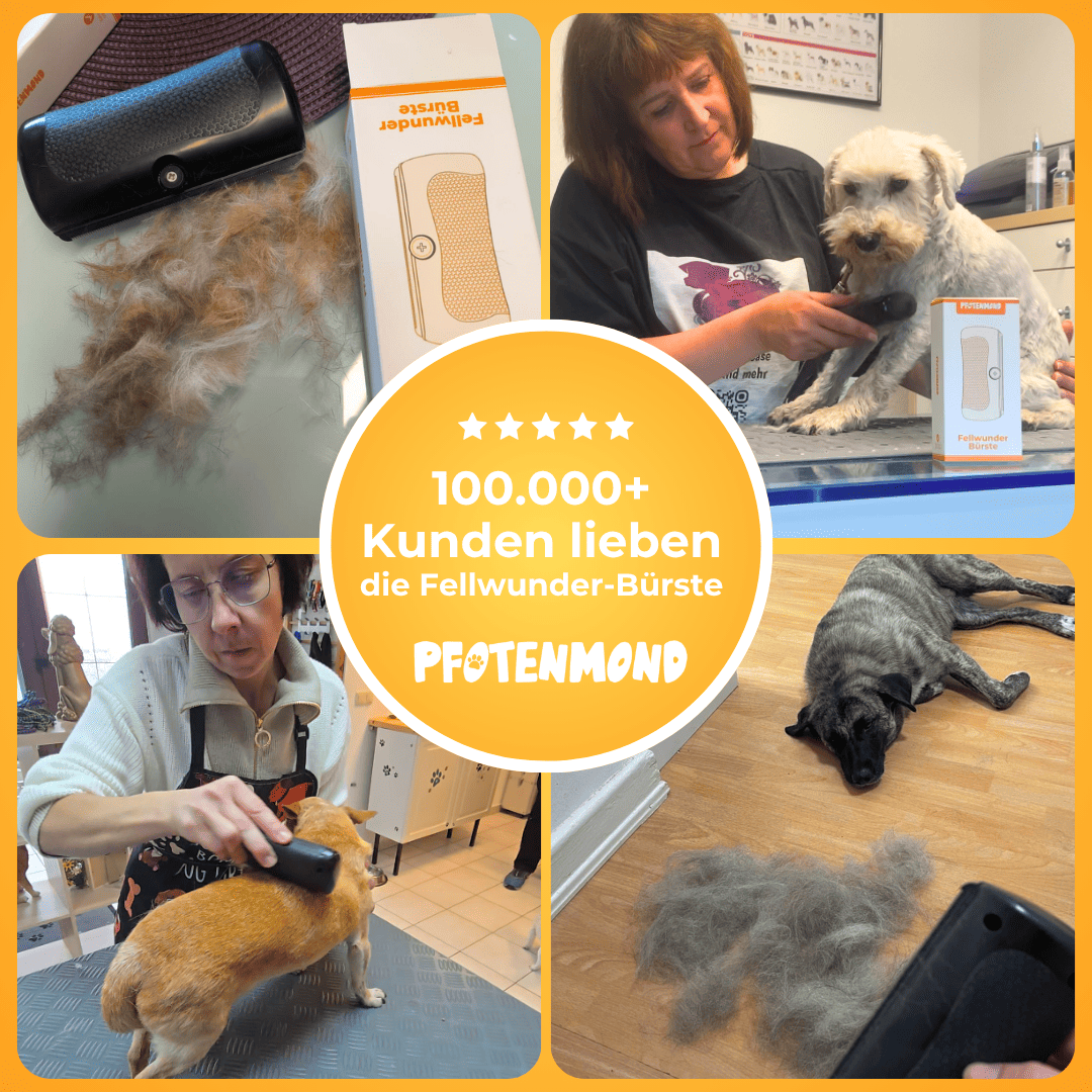 Fellwunder Bürste  - Der Bestseller