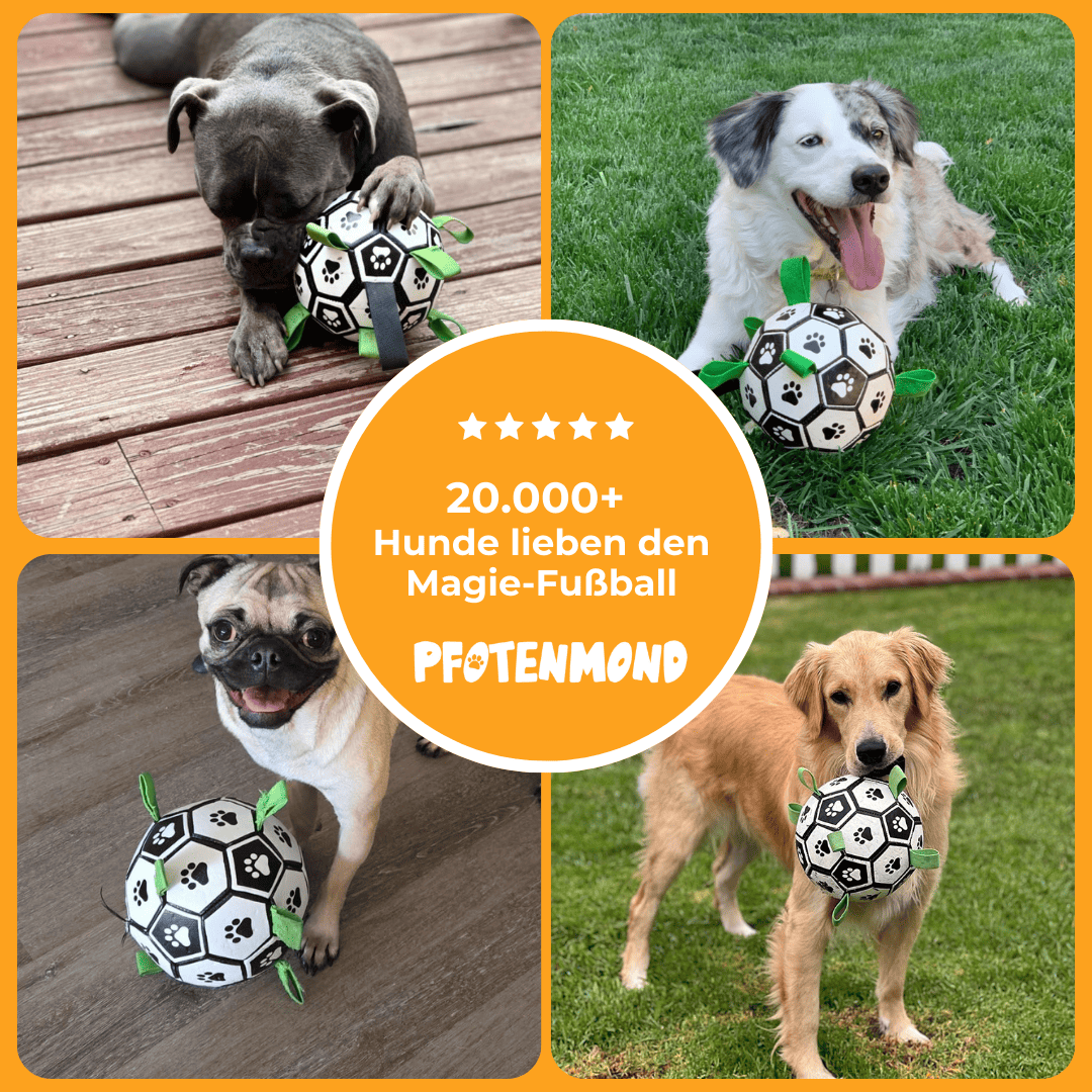 Hundespielzeug Fußball mit Schlaufen