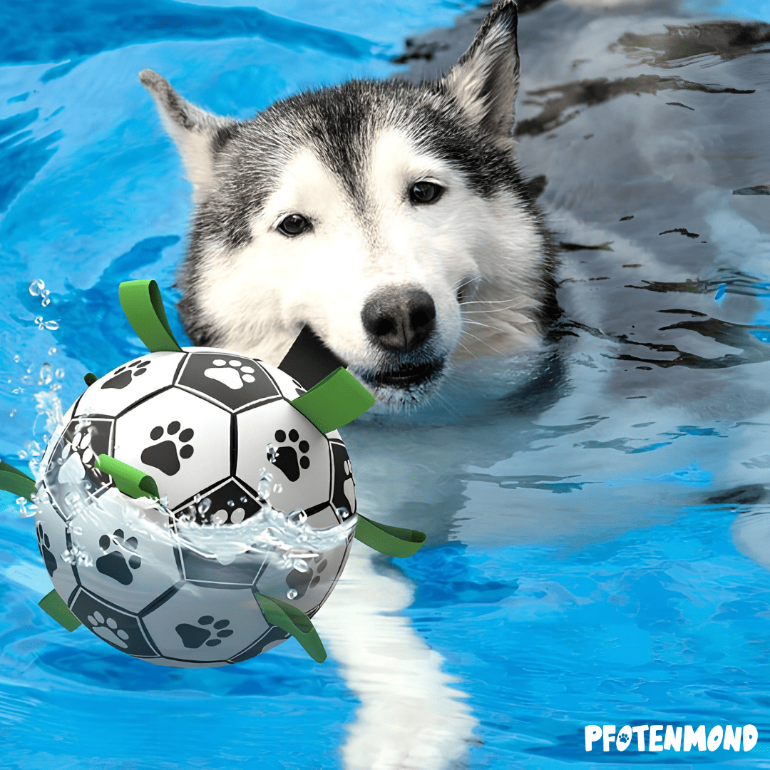 Hundespielzeug Fuball mit Schlaufen | Interaktives Hundespielzeug   Pfotenmond