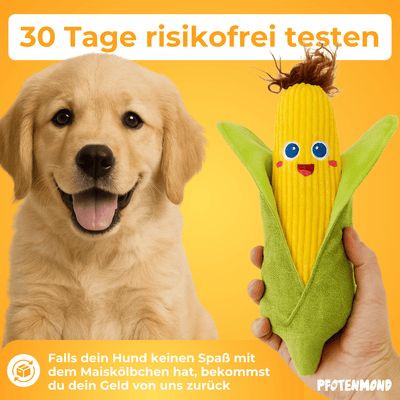 Maiskölbchen