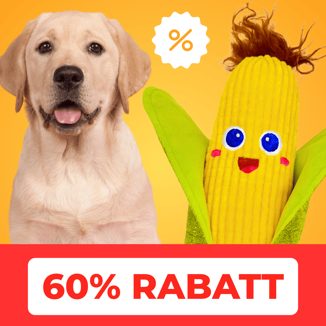 Maiskölbchen - 60% Rabatt 🎁