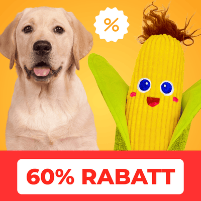 Maiskölbchen - 60% Rabatt 🎁