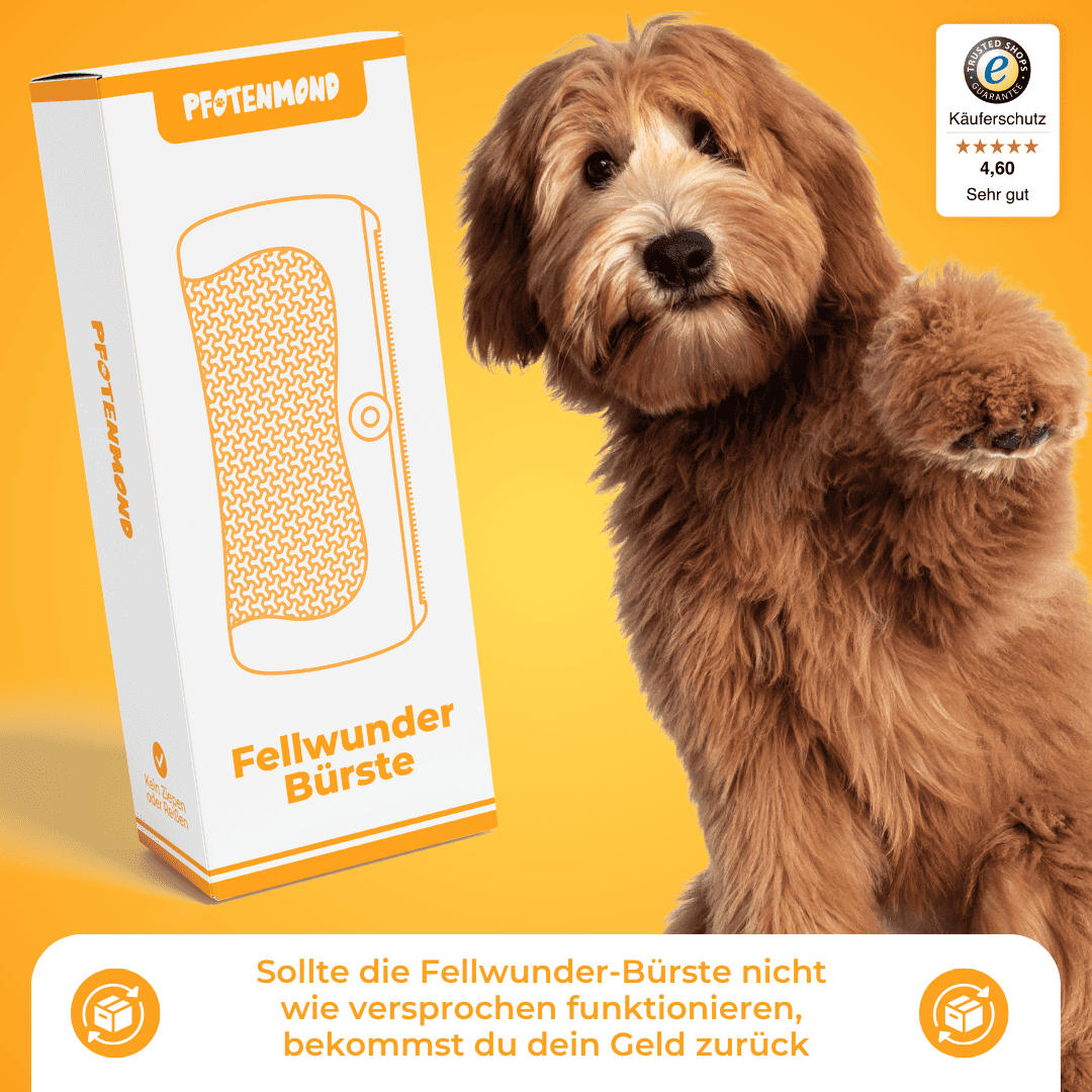 Fellwunder Bürste  - Der Bestseller