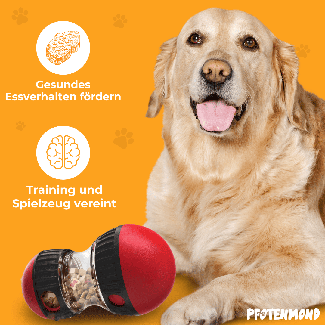Interaktiver Leckerlispender Fr Hunde - Langsames Fttern Spielzeug  Futtertrainer