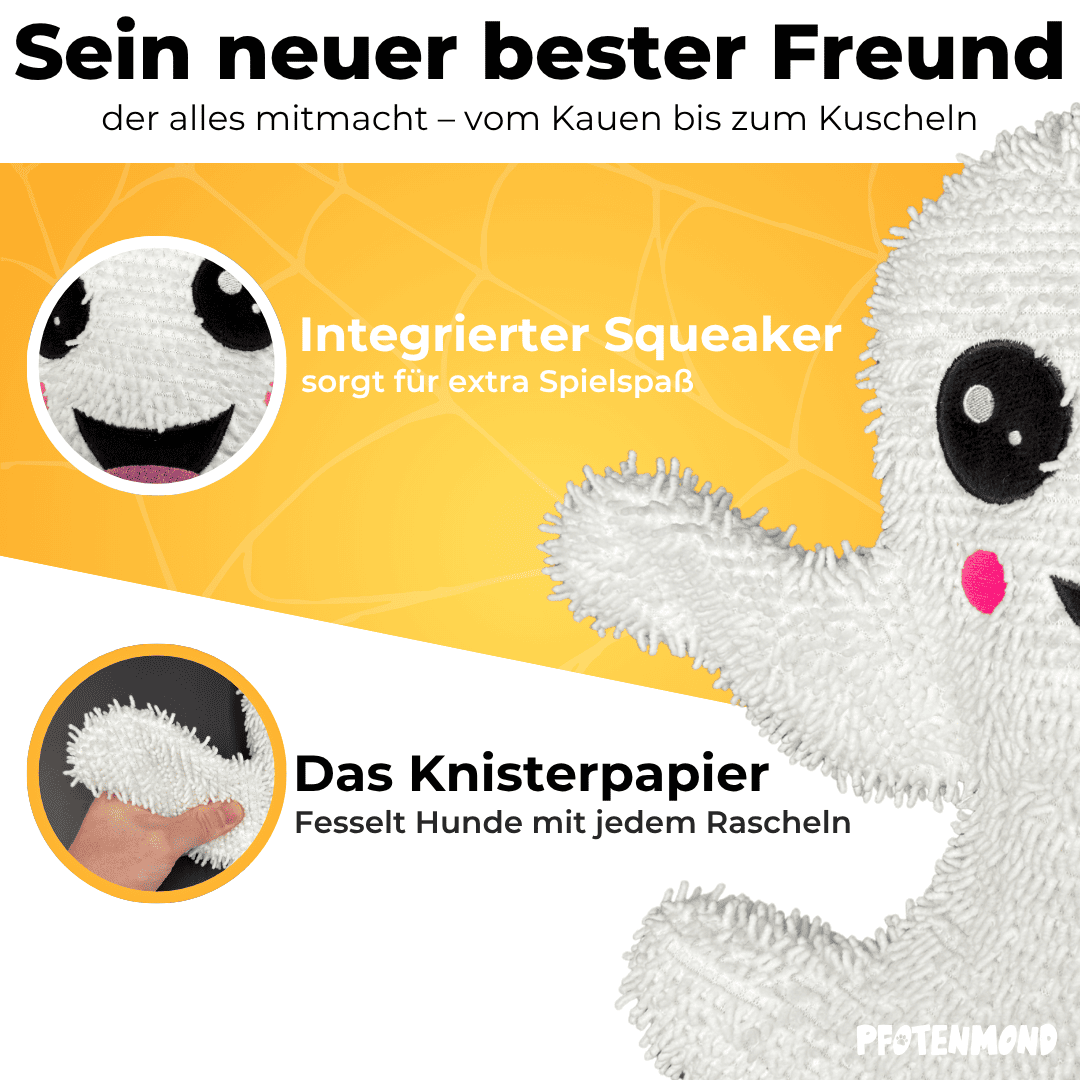 Knistergeist