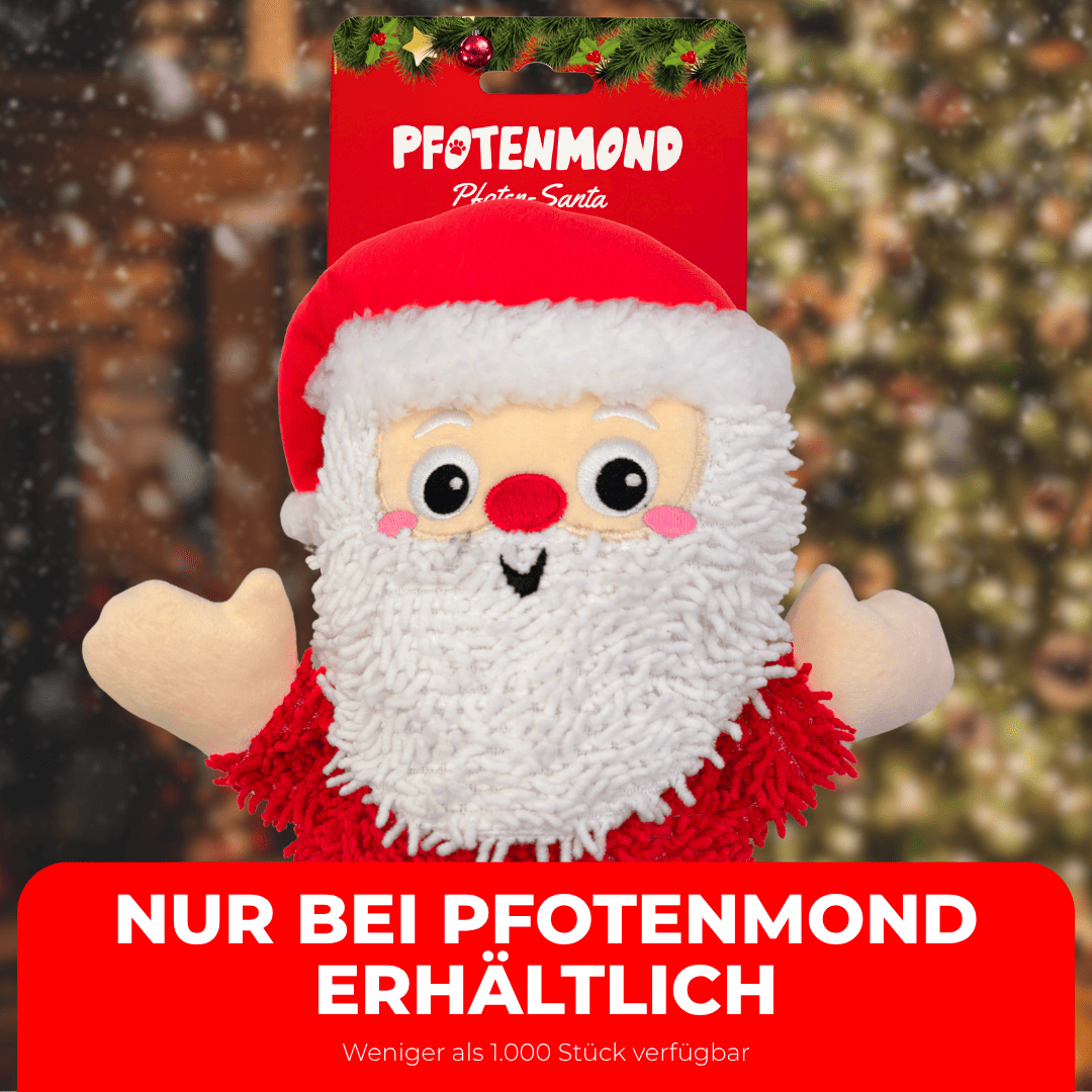 Pfoten-Santa