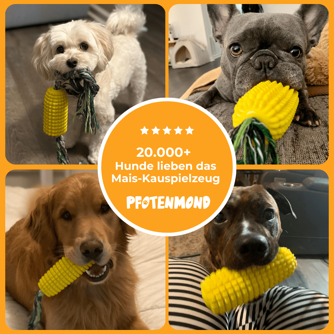 Mais-Kauspielzeug | Unzerstörbares Hundespielzeug