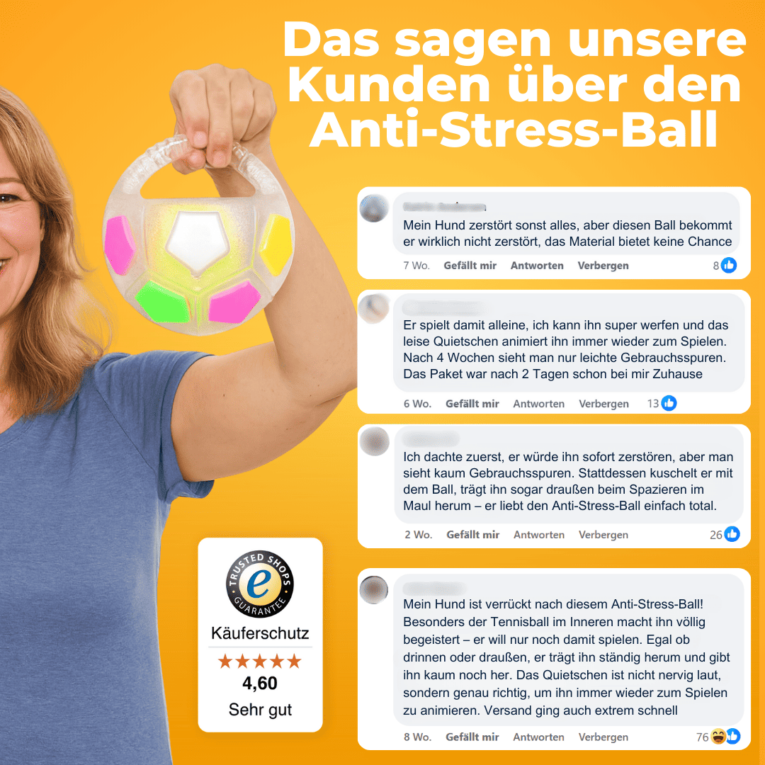Anti-Stress-Ball - Der Bestseller