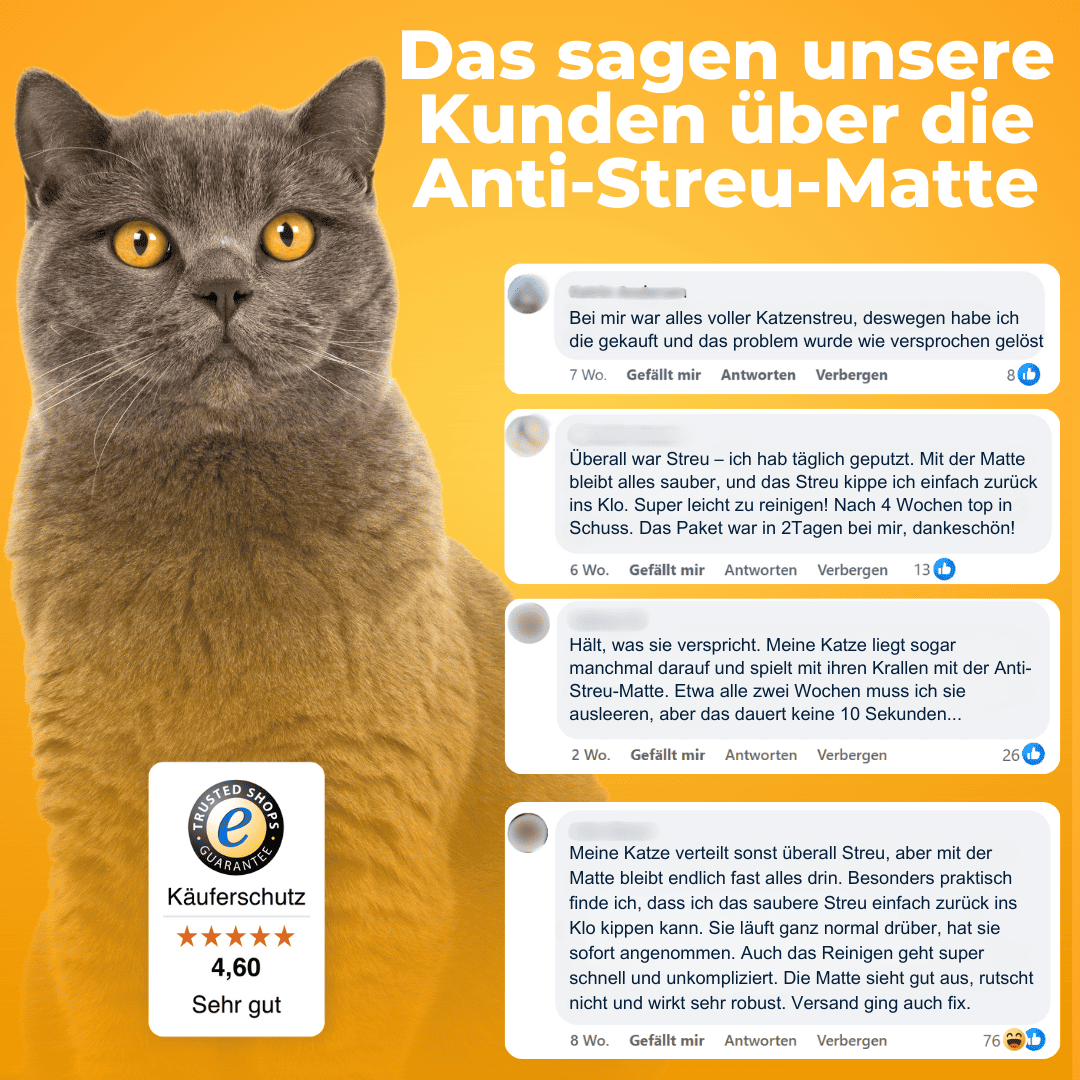 laser katzenspielzeug Automatisches Katzenspielzeug – interaktiver Laser main image 1