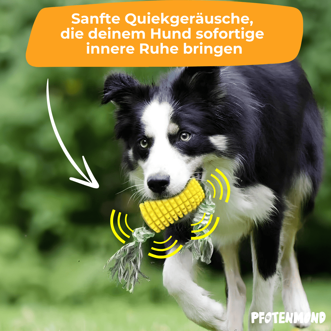 Mais-Kauspielzeug | Unzerstörbares Hundespielzeug