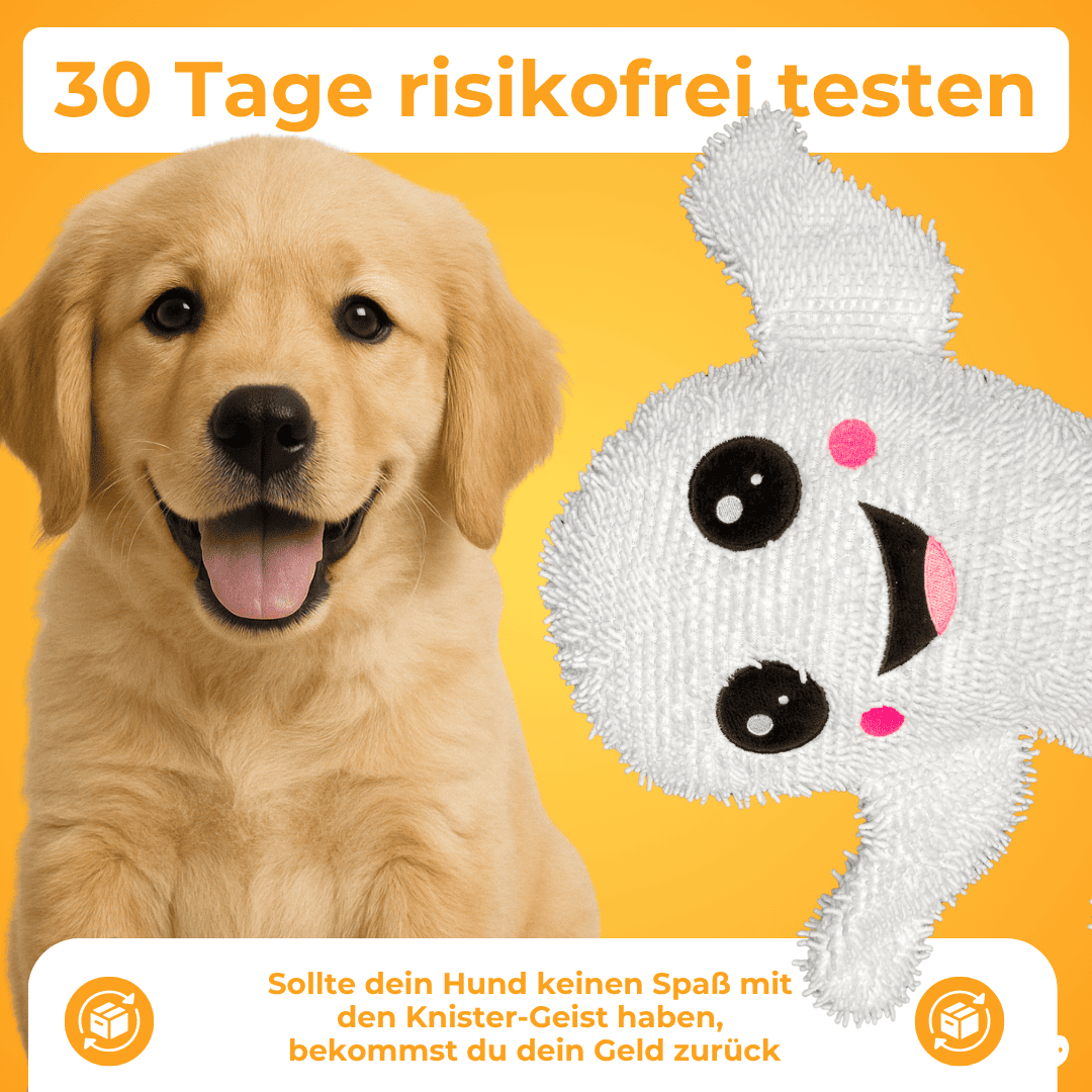Knistergeist