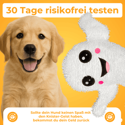 Knistergeist