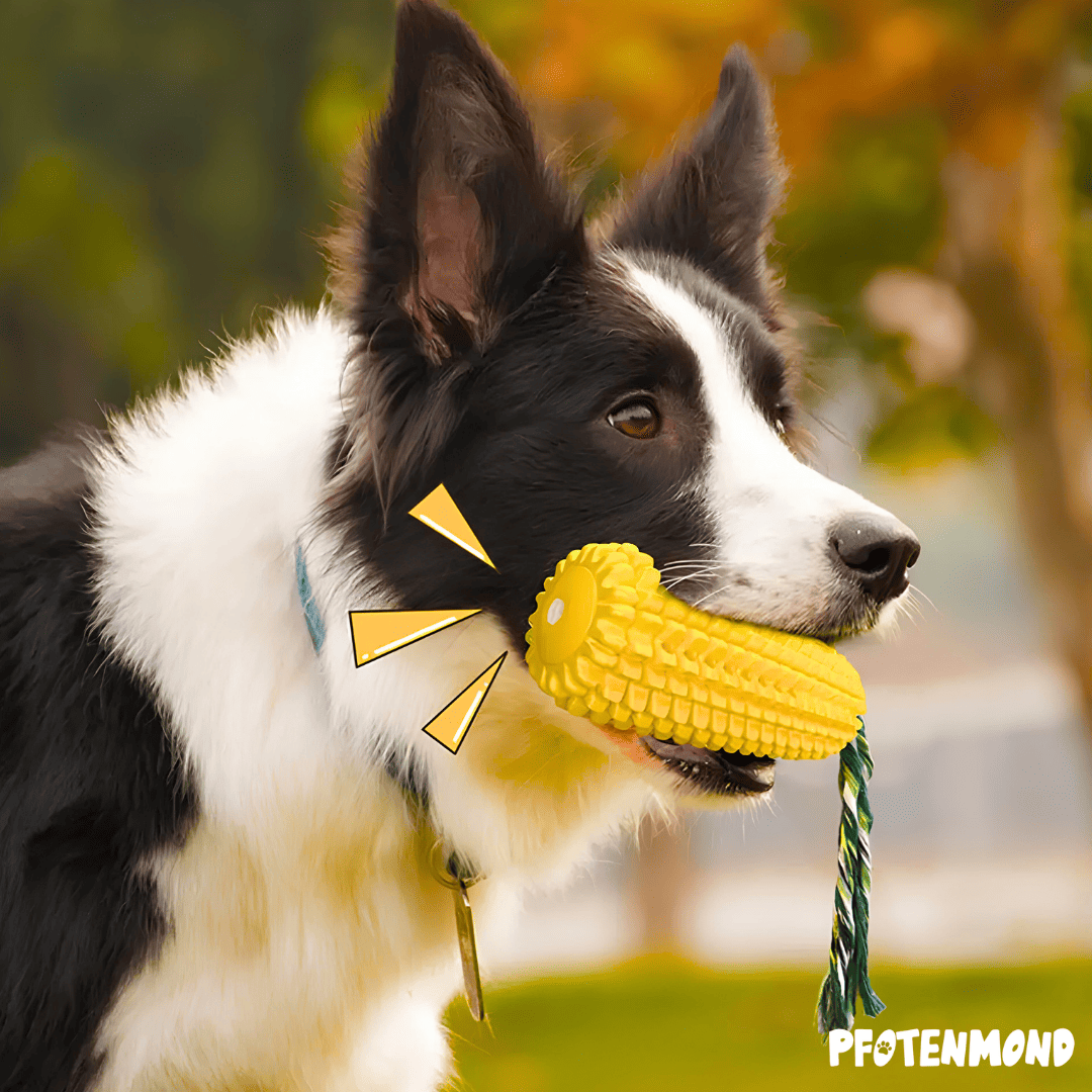 Mais-Kauspielzeug | Unzerstörbares Hundespielzeug